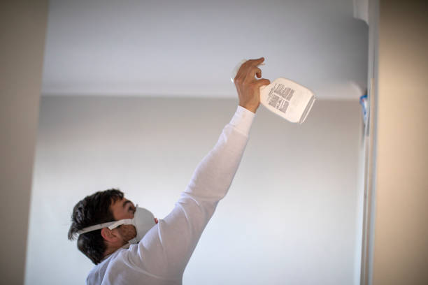 Best Attic Mold Removal  in August, CA