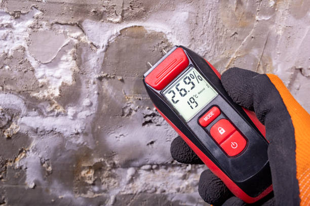 Best Water Damage Restoration  in August, CA