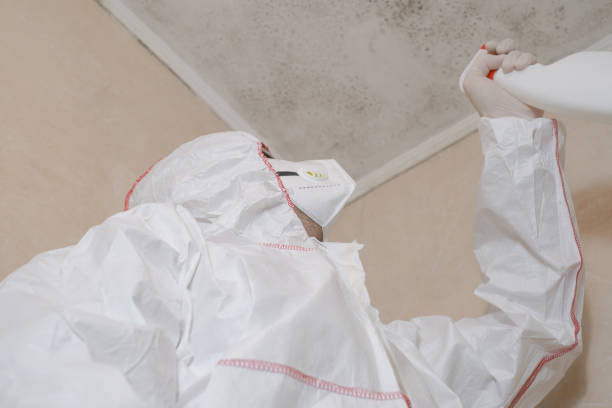 Water Damage Restoration in August, CA
