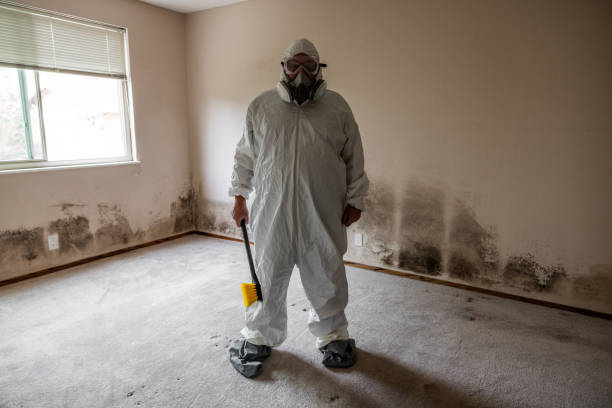 Best Mold Damage Repair  in August, CA